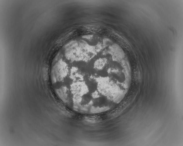 X0000112010757200908311134