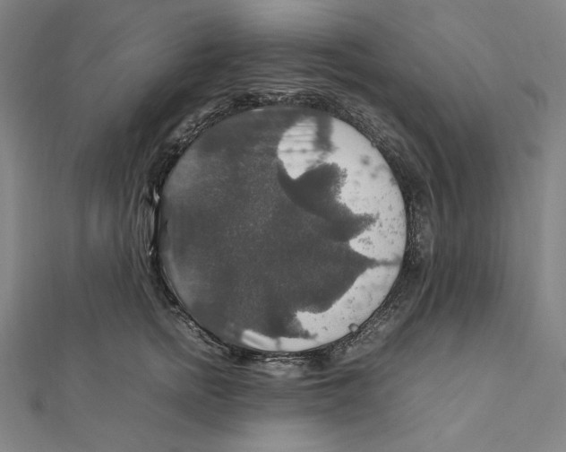 X0000112010758200908311134