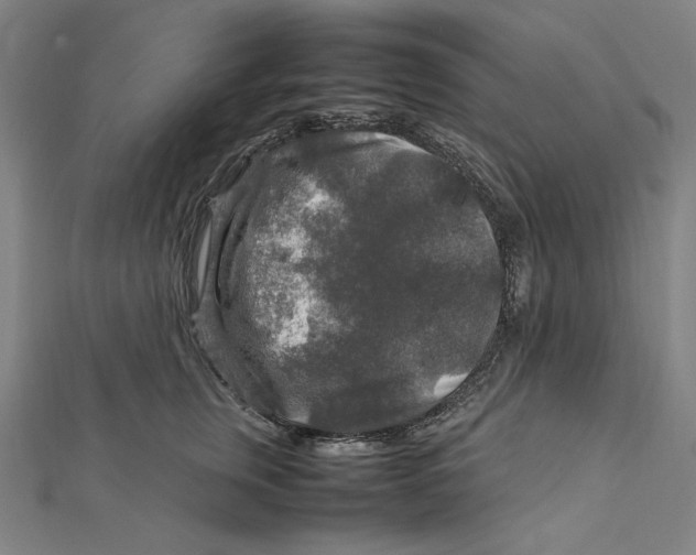 X0000112010759200908311134