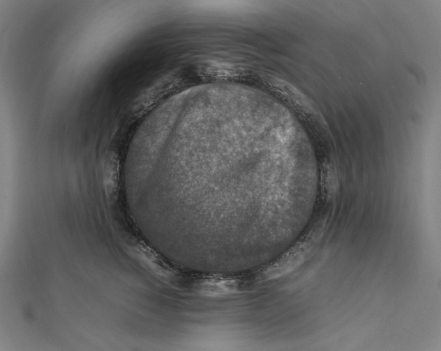 X0000112010760200908311134