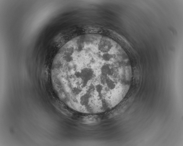 X0000112010761200908311134