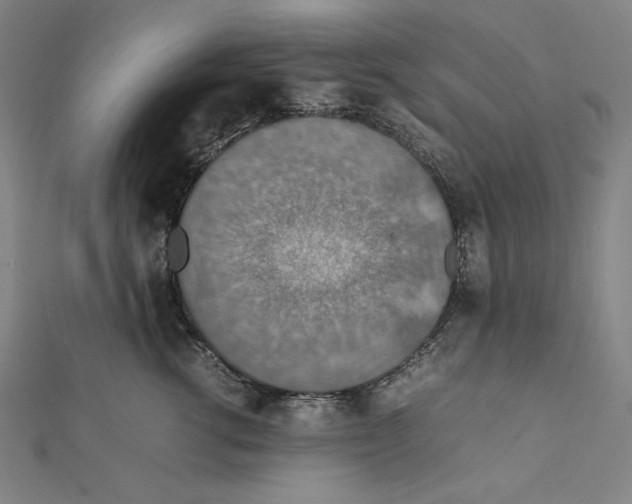 X0000112010762200908311134