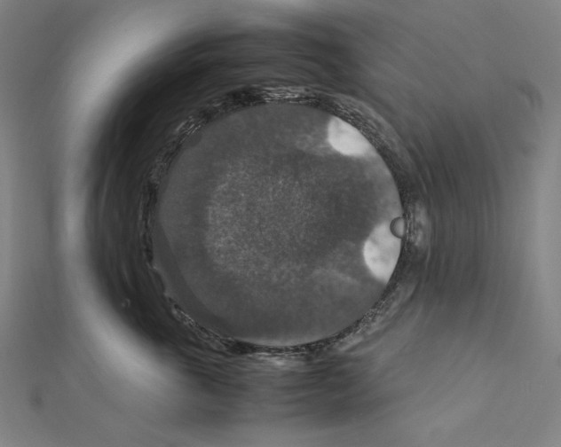 X0000112010763200908311134