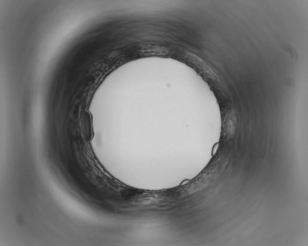X0000112010764200908311134