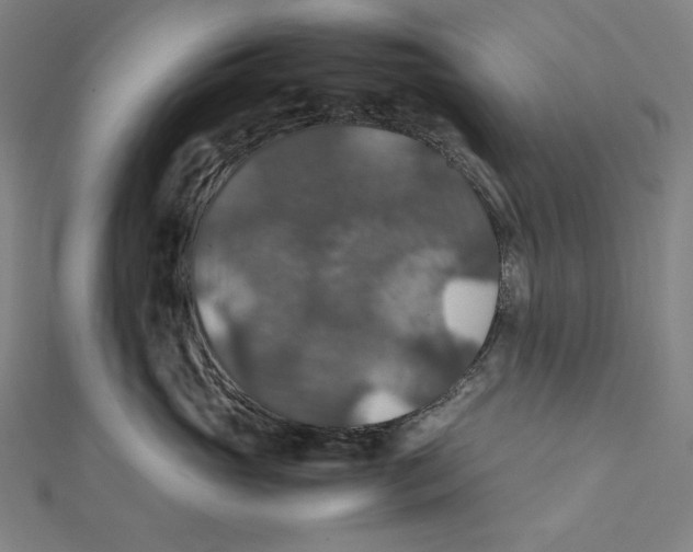 X0000112010765200908311134