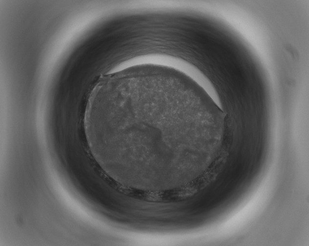 X0000112010766200908311134