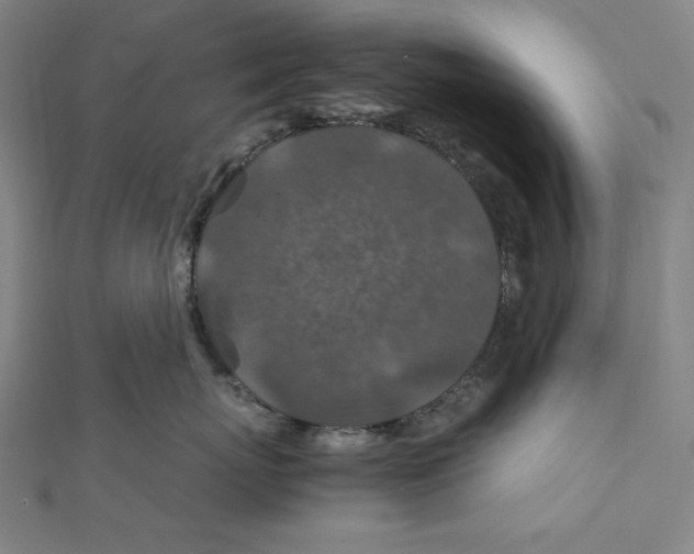 X0000112010767200908311134