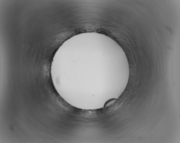 X0000112010768200908311134