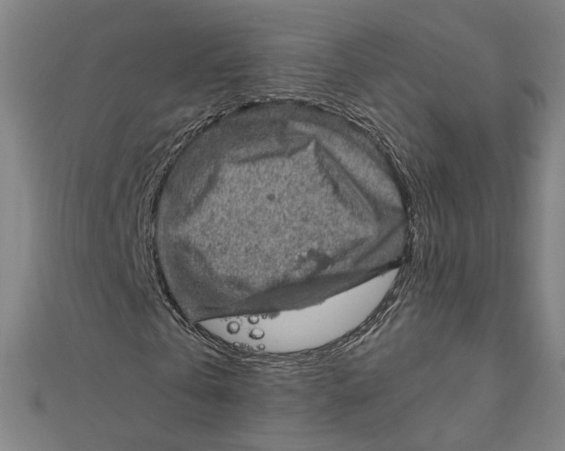 X0000112010769200908311133