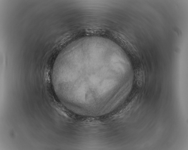 X0000112010770200908311133