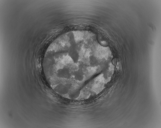 X0000112010771200908311133