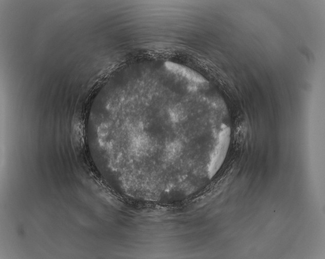 X0000112010772200908311133