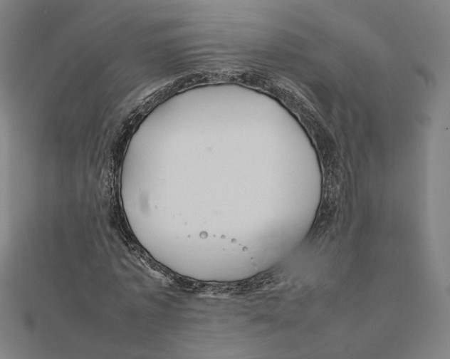 X0000112010773200908311133