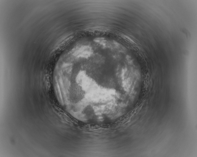 X0000112010774200908311133