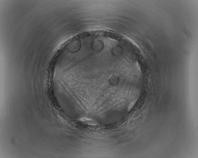 X0000112010775200908311133