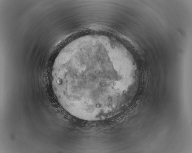 X0000112010776200908311133
