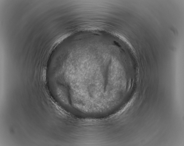 X0000112010777200908311133