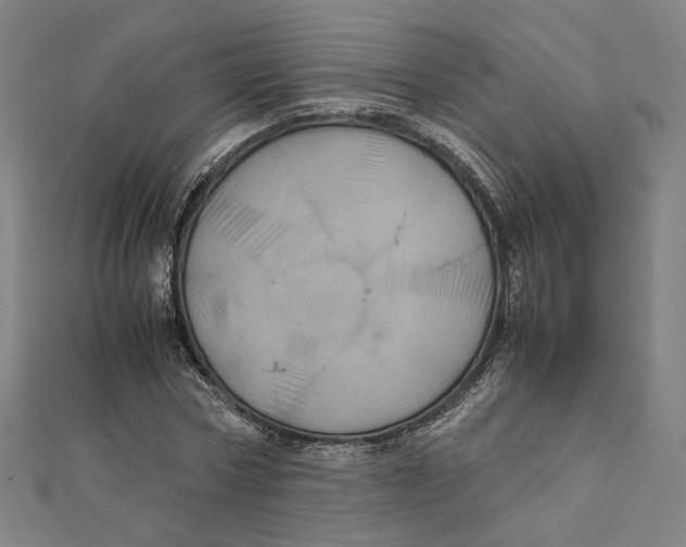 X0000112010778200908311133