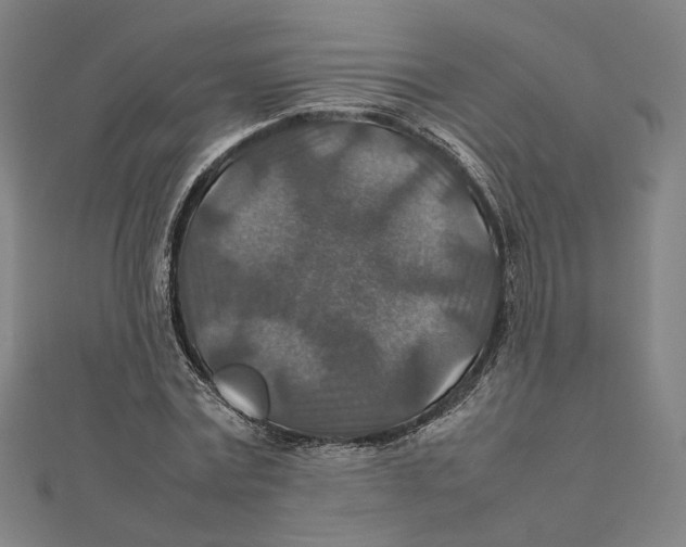 X0000112010779200908311133
