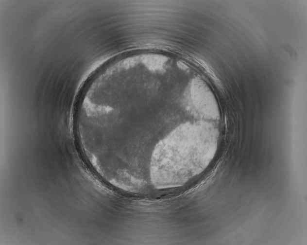 X0000112010780200908311133