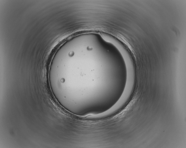 X0000112010781200908311133