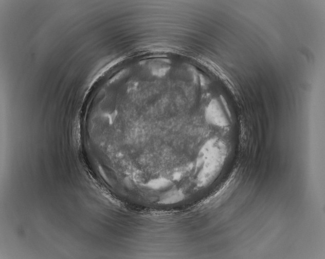 X0000112010782200908311133