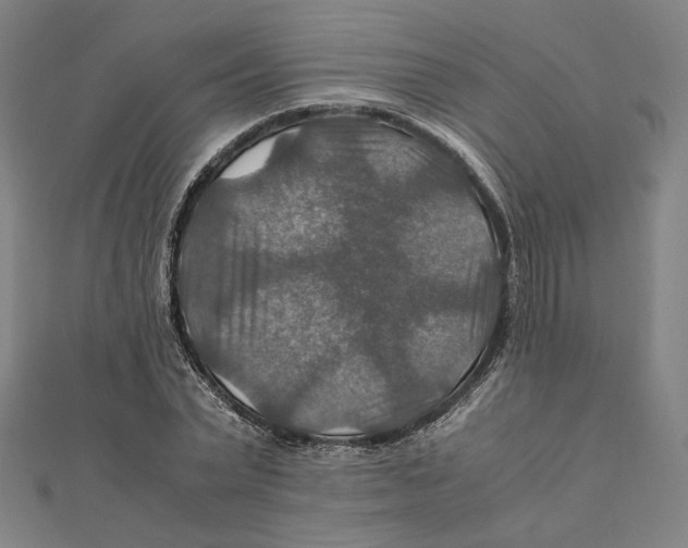X0000112010783200908311133
