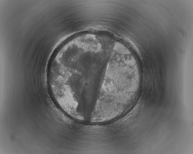 X0000112010784200908311133