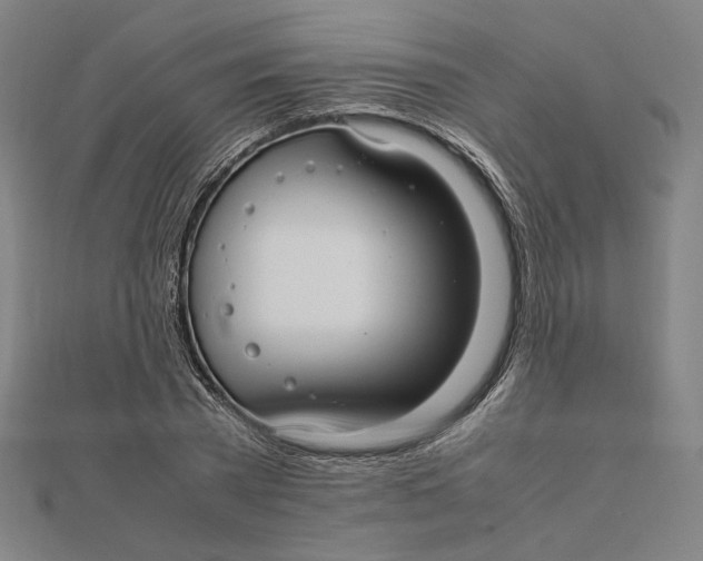 X0000112010785200908311133