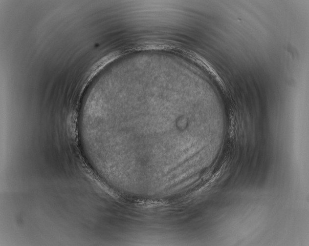 X0000112010786200908311133