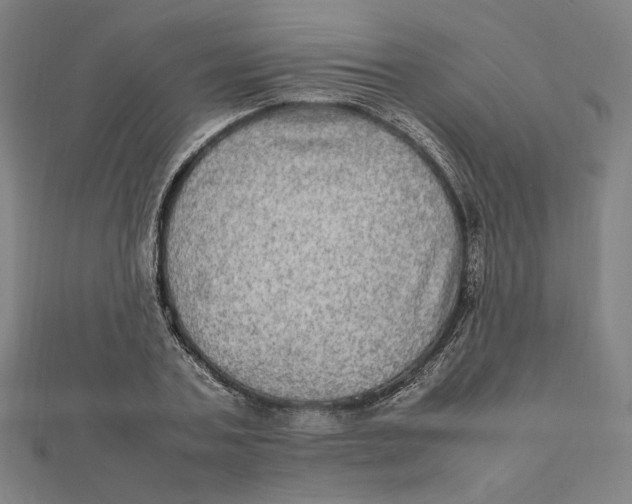 X0000112010787200908311133