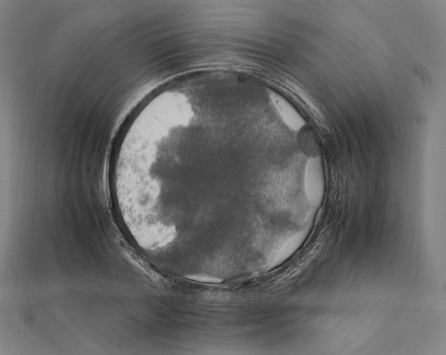 X0000112010788200908311133