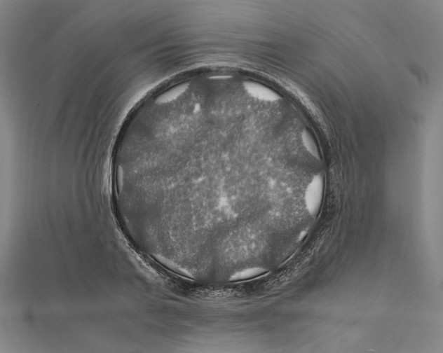 X0000112010791200908311133