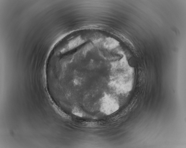 X0000112010792200908311133