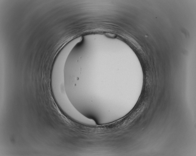 X0000112010793200908311133