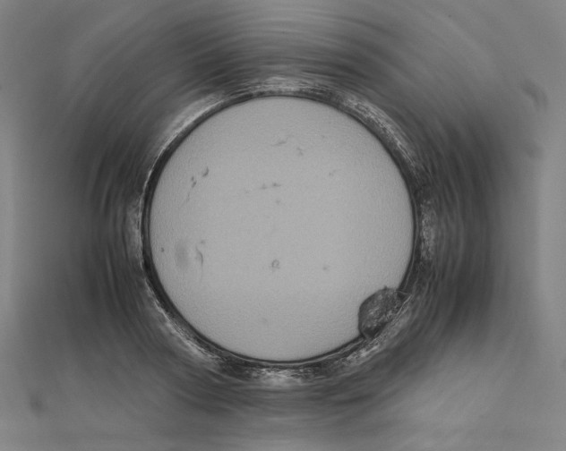 X0000112010794200908311133