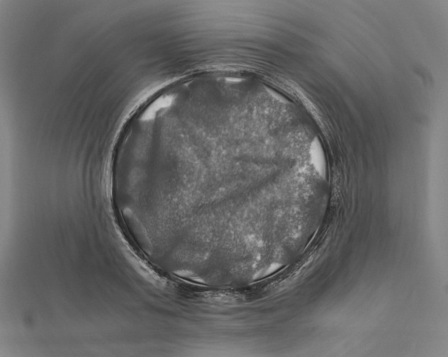 X0000112010795200908311133