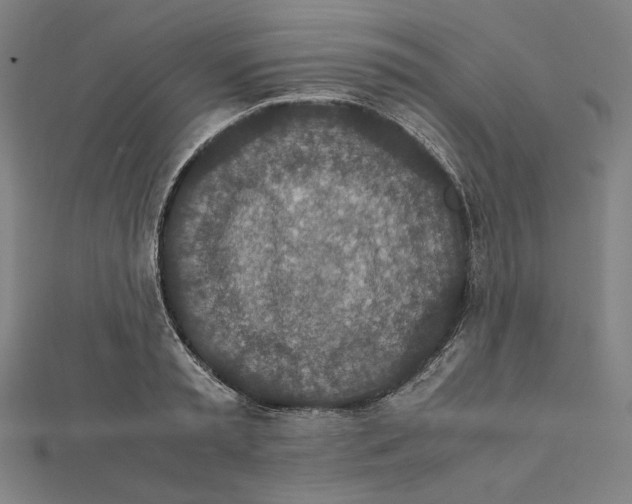 X0000112010797200908311133