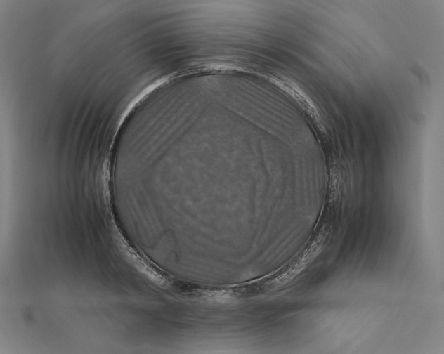 X0000112010798200908311133