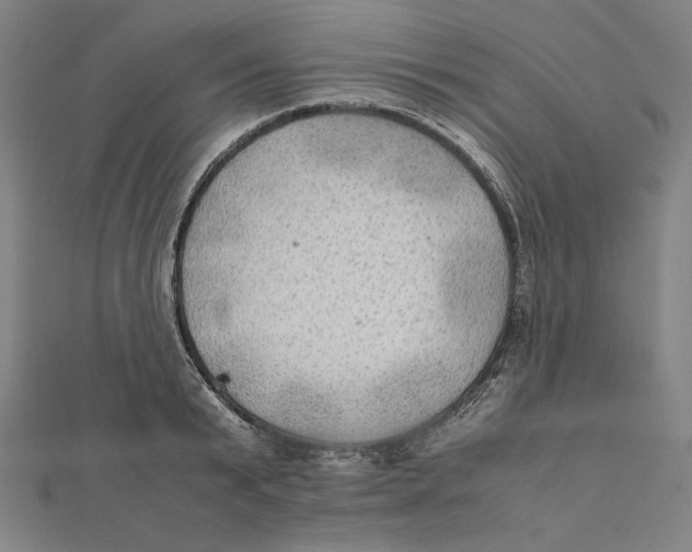 X0000112010799200908311133