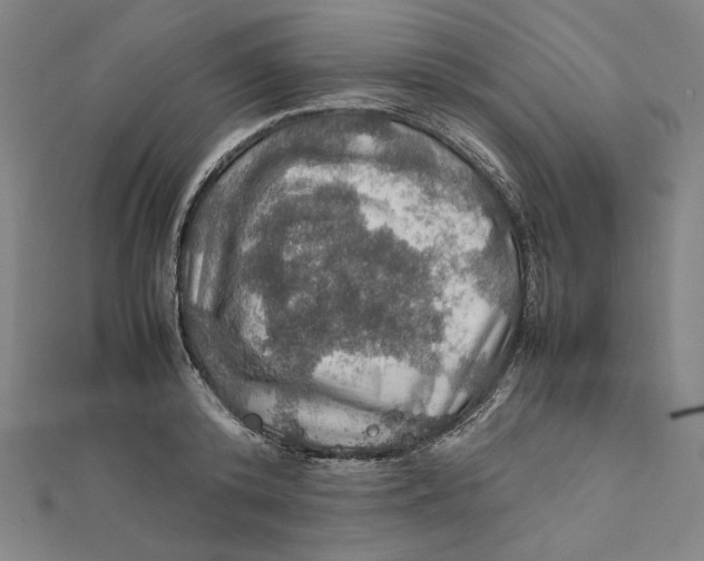 X0000112010800200908311133