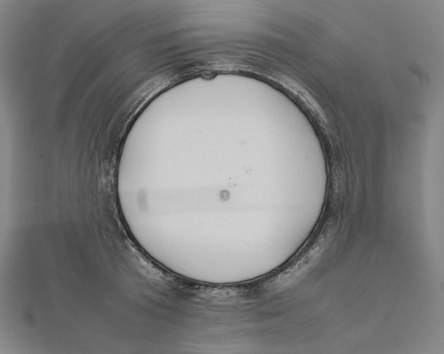 X0000112010801200908311133