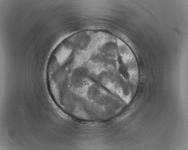 X0000112010803200908311133