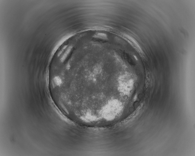 X0000112010804200908311133
