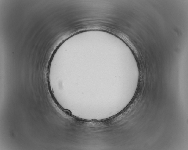 X0000112010805200908311133