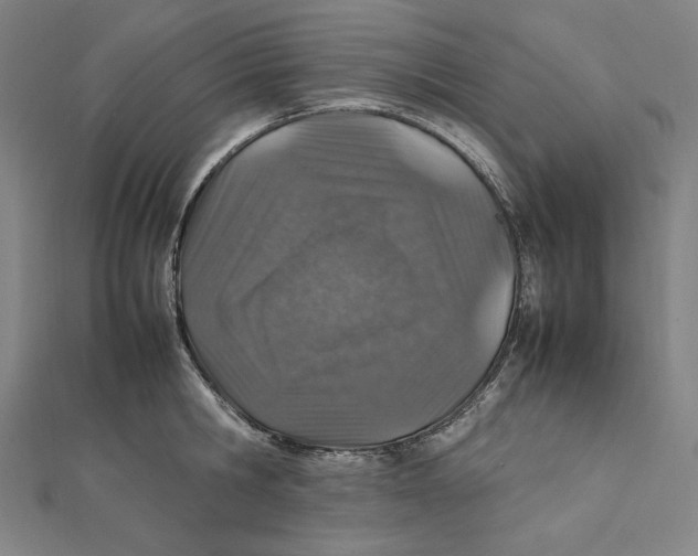X0000112010806200908311133