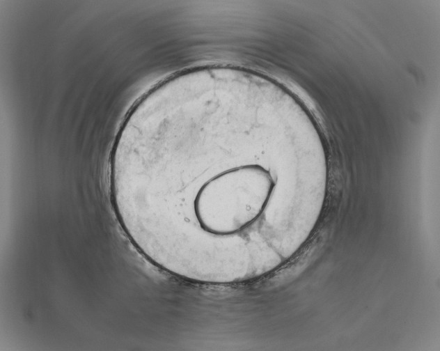 X0000112010807200908311133