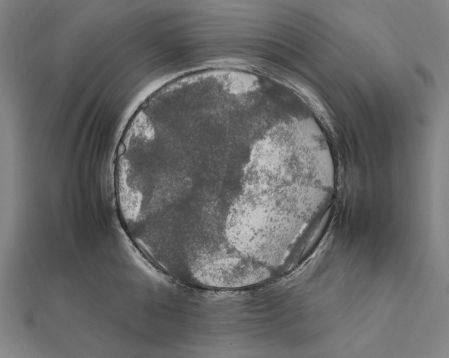 X0000112010808200908311133