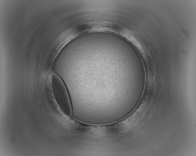 X0000112010809200908311133