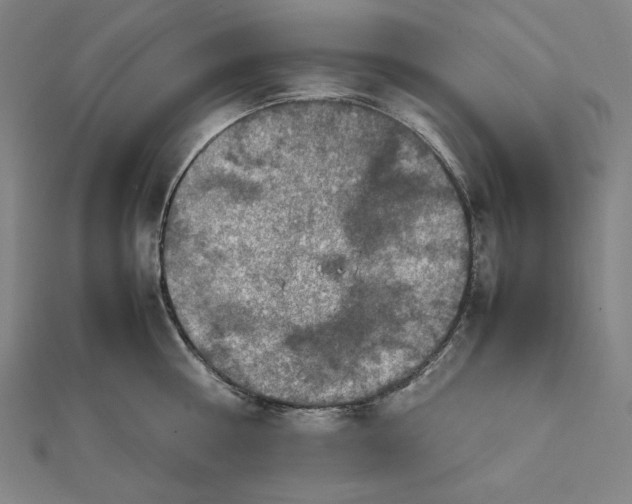 X0000112010810200908311133
